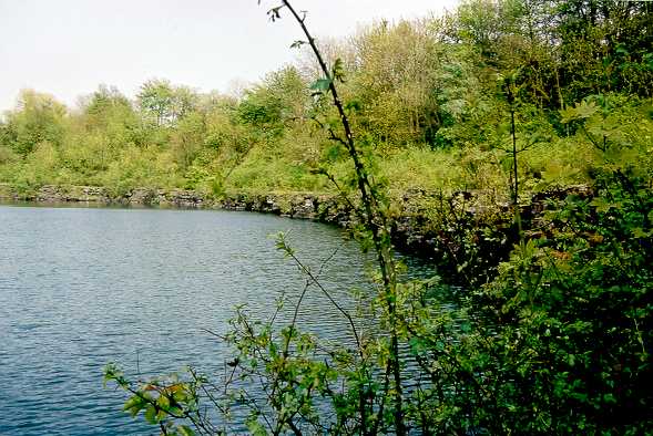 La plage des églantiers