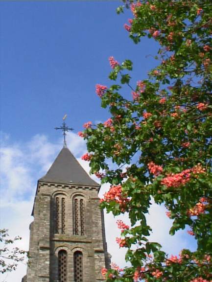 L'église et les marronniers en fleurs