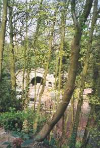 la grotte en 2001